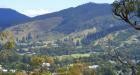Open Studios of the Scenic Rim here 1st and 2nd June