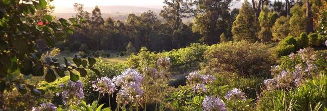Retreats and Workshops
