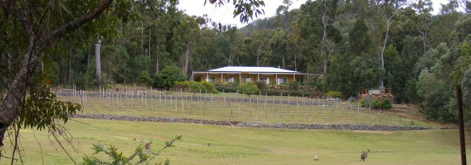 Winter at Wallaby Ridge