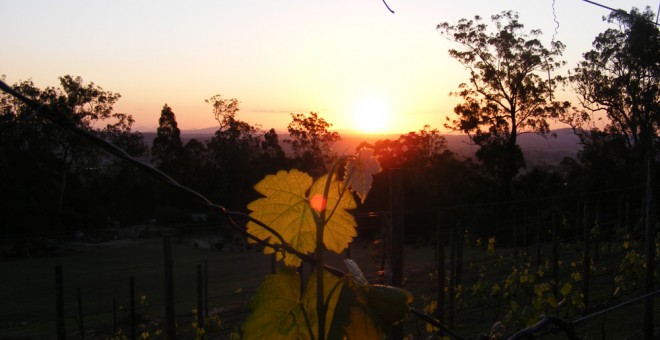 Gold Coast Scenic Rim Food and Wine Trail