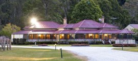 O’Reilly’s Canungra Valley Vineyard