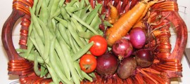Scenic Rim Markets