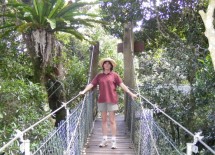 Lamington National Park