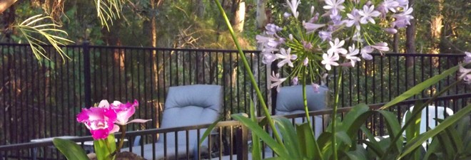 Getaway near Brisbane for Christmas